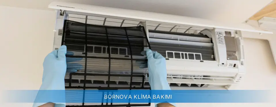 Bornova İlçemi Carrier Klima Bakımı