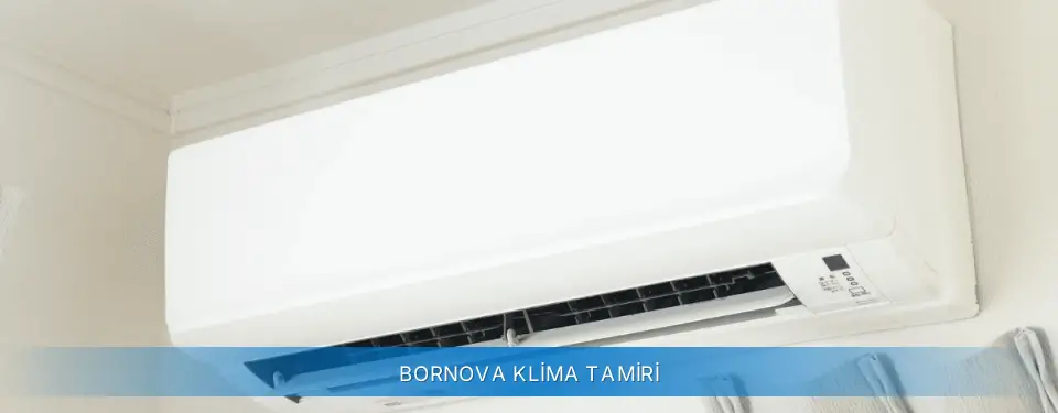 Bornova İlçemi Carrier Klima Tamiri